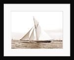 Shamrock I coming for the line, Shamrock I (Yacht) by Anonymous