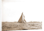 Columbia at the finish, Columbia (Sloop), 1899 by Anonymous