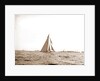 Columbia at the finish, Columbia (Sloop), 1899 by Anonymous