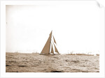 Columbia at the finish, Columbia (Sloop), 1899 by Anonymous