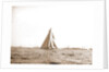 Columbia at the finish, Columbia (Sloop), 1899 by Anonymous