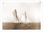 Shamrock and Columbia maneuvering for the start, Columbia (Sloop), Shamrock I (Yacht) by Anonymous