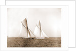 Shamrock and Columbia maneuvering for the start, Columbia (Sloop), Shamrock I (Yacht) by Anonymous