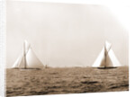 Columbia and Shamrock I, the start, Columbia (Sloop), Shamrock I (Yacht) by Anonymous