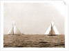 Columbia and Shamrock I, the start, Columbia (Sloop), Shamrock I (Yacht) by Anonymous