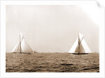 Columbia and Shamrock I, the start, Columbia (Sloop), Shamrock I (Yacht) by Anonymous