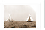 Columbia and Shamrock I, the start, Columbia (Sloop), Shamrock I (Yacht) by Anonymous