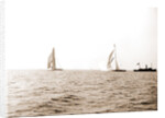 Columbia and Shamrock I after the start, Oct. 19, '99, Shamrock I (Yacht) by Anonymous