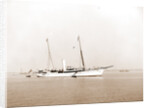 Erin (Steam yacht), 1899 by Anonymous
