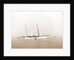 Erin (Steam yacht), 1899 by Anonymous