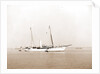 Erin (Steam yacht), 1899 by Anonymous