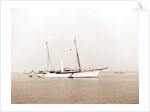 Erin (Steam yacht), 1899 by Anonymous