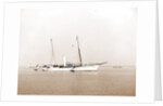 Erin (Steam yacht), 1899 by Anonymous