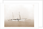Erin (Steam yacht), 1899 by Anonymous