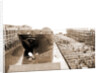Str. Harvard in the slip, Detroit, Harvard (Freighter), 1900 by Anonymous