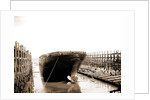 Str. Harvard in the slip, Detroit, Harvard (Freighter), 1900 by Anonymous