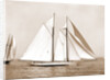 Corona, flagship of Commodore Ledyard, Corona (Schooner), 1900 by Anonymous
