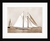 Corona, flagship of Commodore Ledyard, Corona (Schooner), 1900 by Anonymous