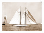 Corona, flagship of Commodore Ledyard, Corona (Schooner), 1900 by Anonymous