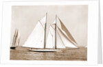 Corona, flagship of Commodore Ledyard, Corona (Schooner), 1900 by Anonymous