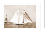 Corona, flagship of Commodore Ledyard, Corona (Schooner), 1900 by Anonymous