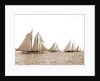 Corona & Latona, Latona (Schooner), 1900 by Anonymous