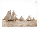 Corona & Latona, Latona (Schooner), 1900 by Anonymous