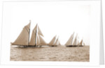 Corona & Latona, Latona (Schooner), 1900 by Anonymous