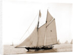 Latona (Schooner), 1900 by Anonymous