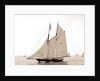Latona (Schooner), 1900 by Anonymous