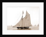 Latona (Schooner), 1900 by Anonymous