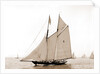 Latona (Schooner), 1900 by Anonymous