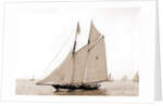 Latona (Schooner), 1900 by Anonymous