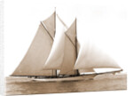 Merlin (Schooner), 1892 by Anonymous