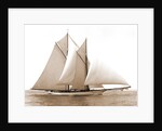 Merlin (Schooner), 1892 by Anonymous