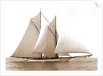 Merlin (Schooner), 1892 by Anonymous
