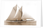 Merlin (Schooner), 1892 by Anonymous