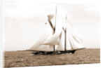 Ramona (Schooner), 1888 by Anonymous