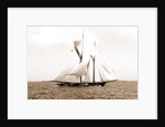 Ramona (Schooner), 1888 by Anonymous