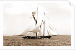 Ramona (Schooner), 1888 by Anonymous