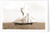Ramona (Schooner), 1888 by Anonymous