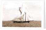 Ramona (Schooner), 1888 by Anonymous