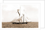 Ramona (Schooner), 1888 by Anonymous