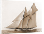 Mayflower (Schooner), 1891 by Anonymous