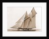 Mayflower (Schooner), 1891 by Anonymous