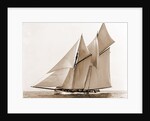 Mayflower (Schooner), 1891 by Anonymous