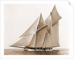 Mayflower (Schooner), 1891 by Anonymous