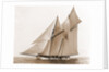 Mayflower (Schooner), 1891 by Anonymous