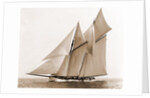 Mayflower (Schooner), 1891 by Anonymous