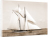 Quickstep (Schooner), 1891 by Anonymous
